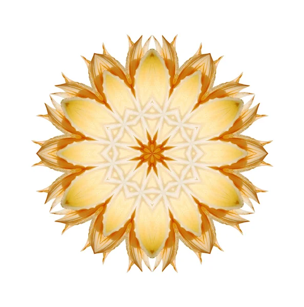 Mandala flor aislada sobre fondo blanco — Foto de Stock