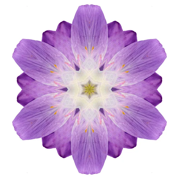 Mandala flor aislada sobre fondo blanco —  Fotos de Stock