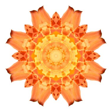 Beyaz arka plan üzerinde izole çiçek mandala