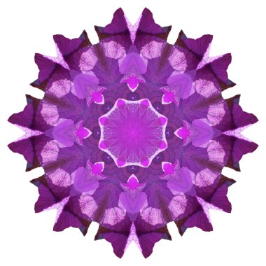 Beyaz arka plan üzerinde izole çiçek mandala