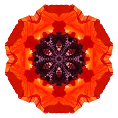 Beyaz arka plan üzerinde izole çiçek mandala