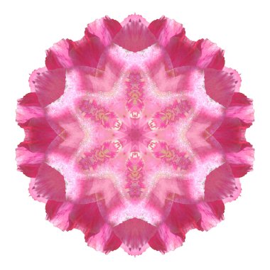 Beyaz arka plan üzerinde izole çiçek mandala