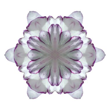 Beyaz arka plan üzerinde izole çiçek mandala