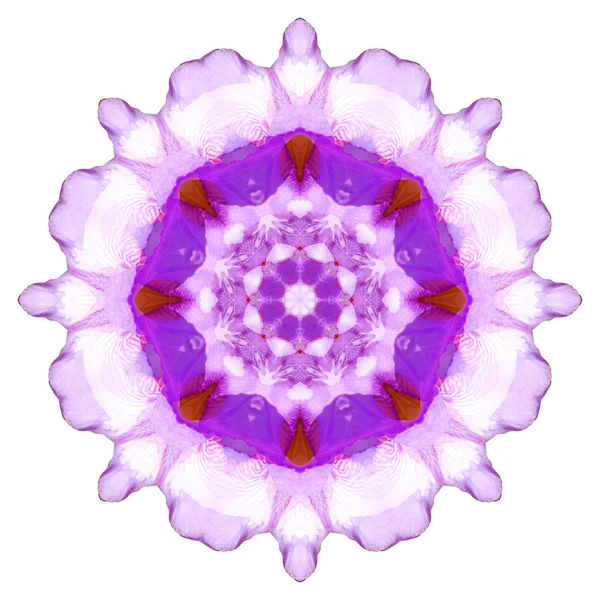 Kukka Mandala eristetty valkoisella taustalla — kuvapankkivalokuva