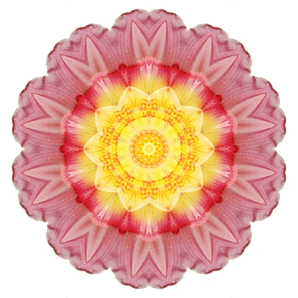 Blume Mandala isoliert auf weißem Hintergrund — Stockfoto