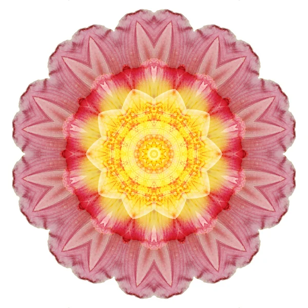 Blomma mandala isolerad på vit bakgrund — Stockfoto