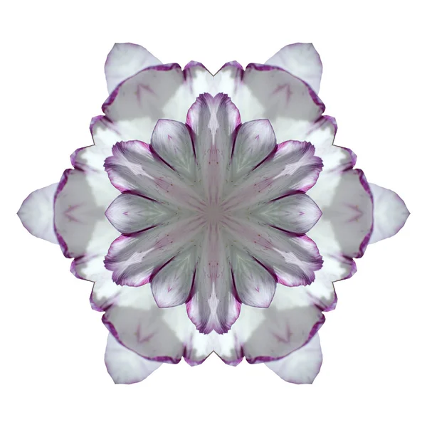 Mandala fiore isolato su sfondo bianco — Foto Stock