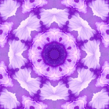 Konsantrik çiçek Merkezi makro yakın çekim. Mandala farklı renk seçenekleri sunan tasarım