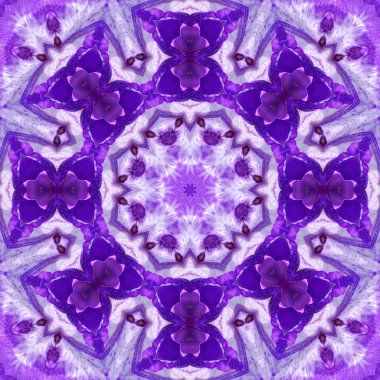 Konsantrik çiçek Merkezi makro yakın çekim. Mandala farklı renk seçenekleri sunan tasarım