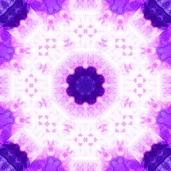 Konsantrik çiçek Merkezi makro yakın çekim. Mandala farklı renk seçenekleri sunan tasarım