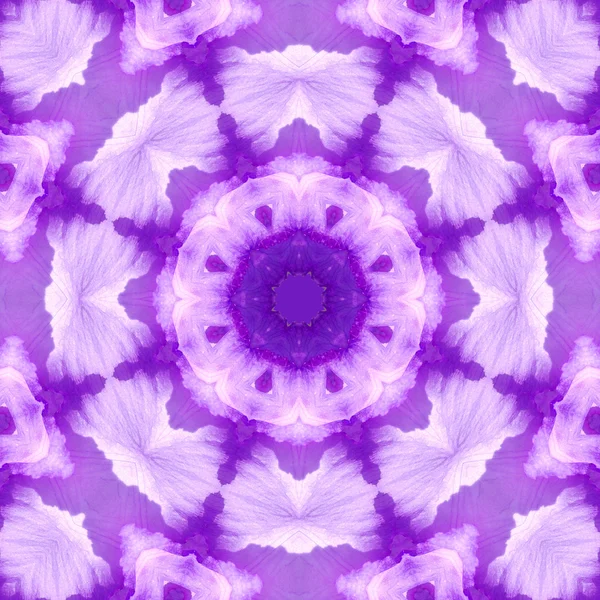 Konsantrik çiçek Merkezi makro yakın çekim. Mandala farklı renk seçenekleri sunan tasarım