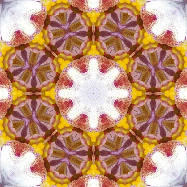 Gros plan sur Macro Concentric Flower Center. Mandala Conception kaléidoscopique — Photo