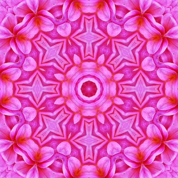 Centro de flores concéntrico Macro Close-up. Diseño caleidoscópico Mandala — Foto de Stock