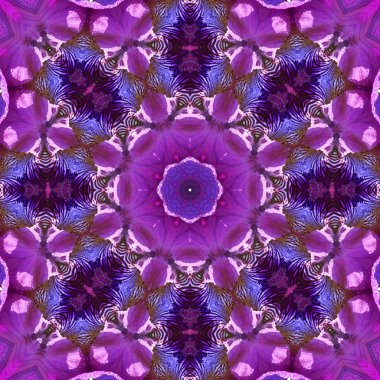 Konsantrik çiçek Merkezi makro yakın çekim. Mandala farklı renk seçenekleri sunan tasarım