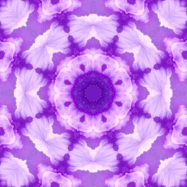 Konsantrik çiçek Merkezi makro yakın çekim. Mandala farklı renk seçenekleri sunan tasarım