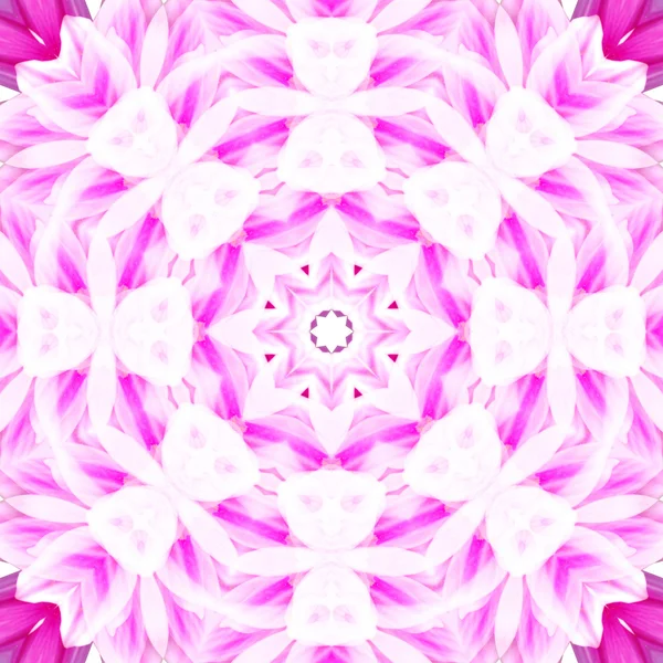 Centro de flores concéntrico Macro Close-up. Diseño caleidoscópico Mandala —  Fotos de Stock