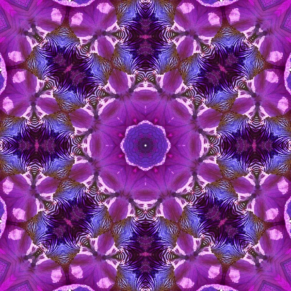 Concentrische bloem Center Macro Close-up. Mandala caleidoscopische ontwerp — Stockfoto