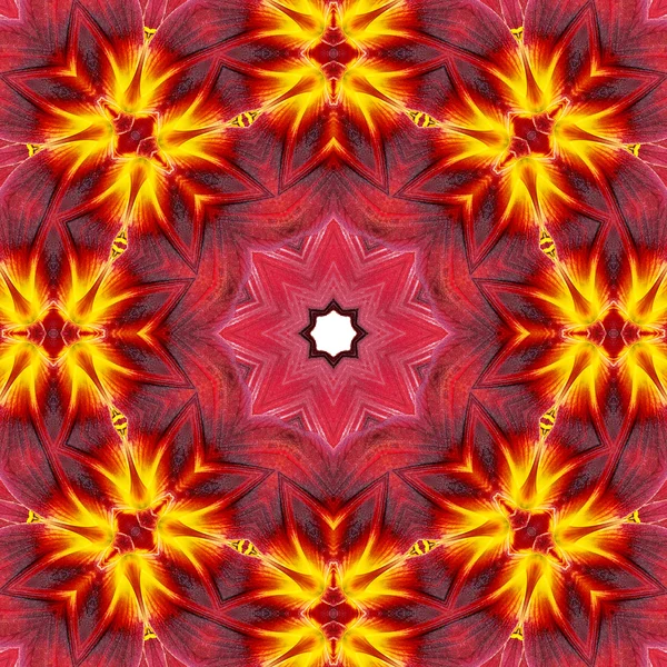 Koncentriska blomma Center makro närbild. Mandala kalejdoskopisk design — Stockfoto
