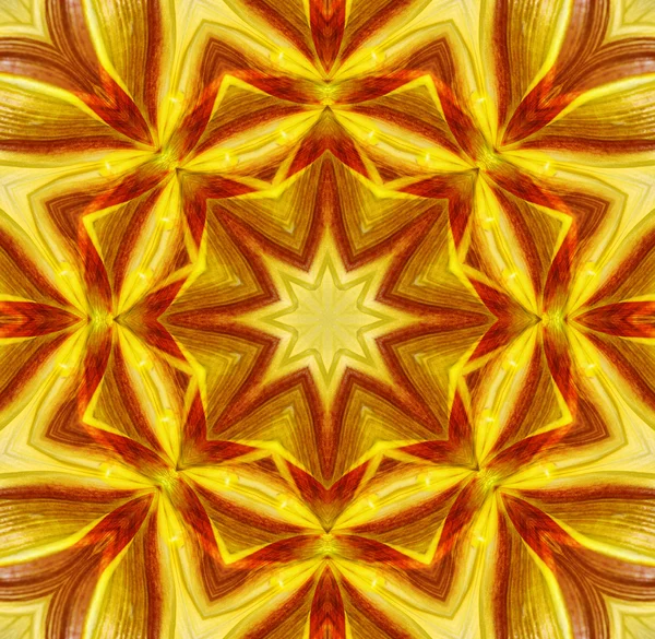 Concentric Flower Center Macro Close-up. Mandala Kaleidoscopic design — Stock Photo, Image