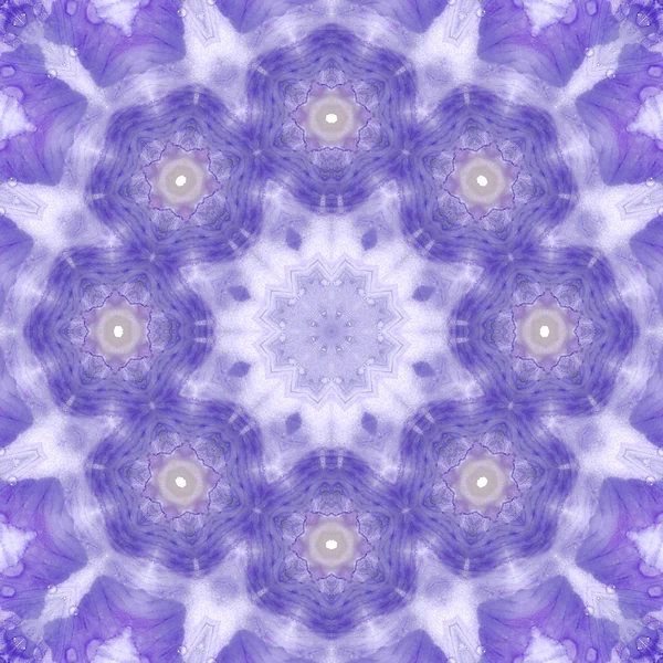 Concentric Flower Center Macro Close-up. Mandala Projeto caleidoscópico — Fotografia de Stock