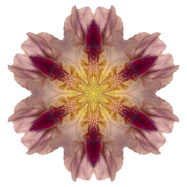 Beyaz arka plan üzerinde izole çiçek mandala