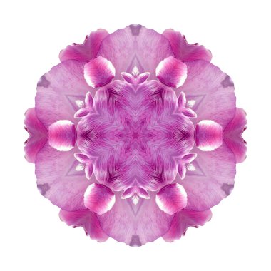 Beyaz arka plan üzerinde izole çiçek mandala