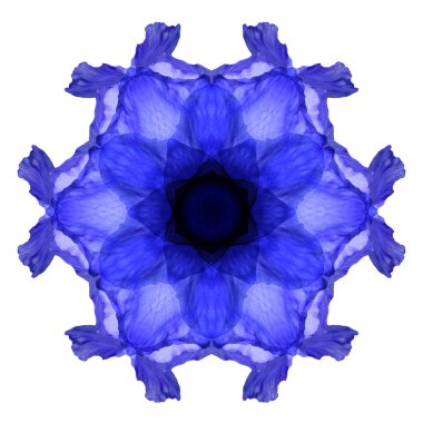 Beyaz arka plan üzerinde izole çiçek mandala