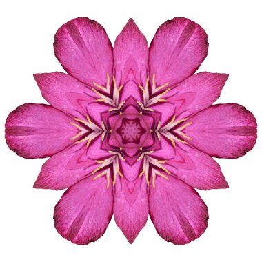 Beyaz arka plan üzerinde izole çiçek mandala