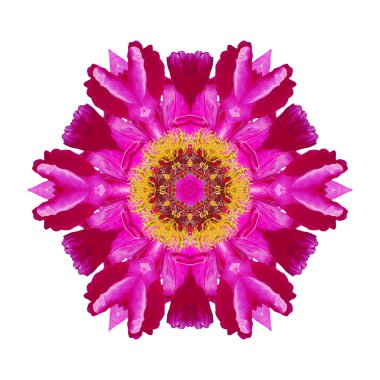 Beyaz arka plan üzerinde izole çiçek mandala