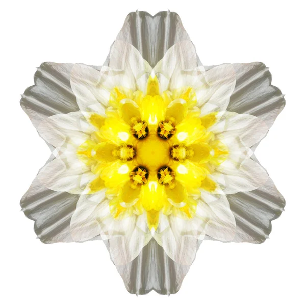 Mandala fleur isolé sur fond blanc — Photo