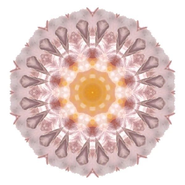 Mandala fiore isolato su sfondo bianco — Foto Stock