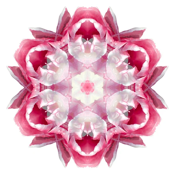 Flower mandala isolated on white background — Stock Photo, Image