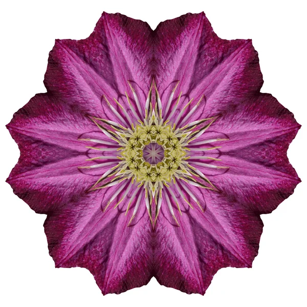 Blume Mandala isoliert auf weißem Hintergrund — Stockfoto