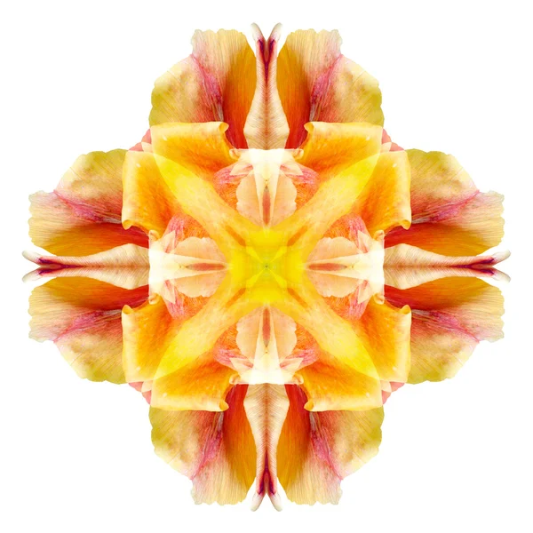 ดอกไม้ mandala แยกกันบนพื้นหลังสีขาว — ภาพถ่ายสต็อก