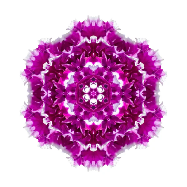 Bloem mandala geïsoleerd op witte achtergrond — Stockfoto