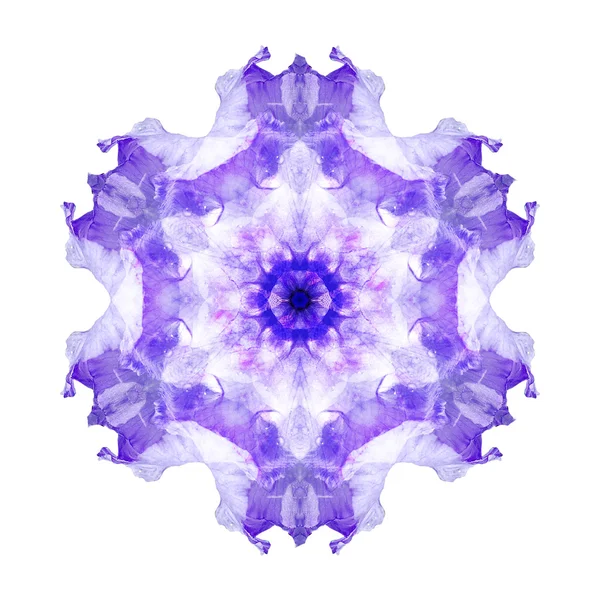 Mandala fleur isolé sur fond blanc — Photo