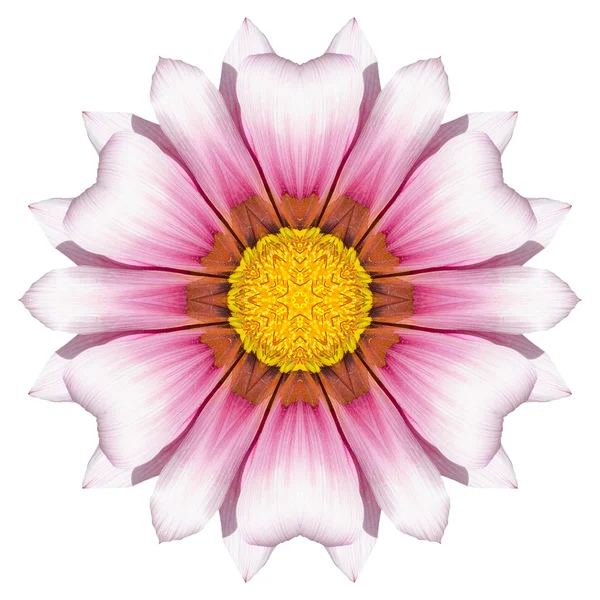 Blume Mandala isoliert auf weißem Hintergrund — Stockfoto