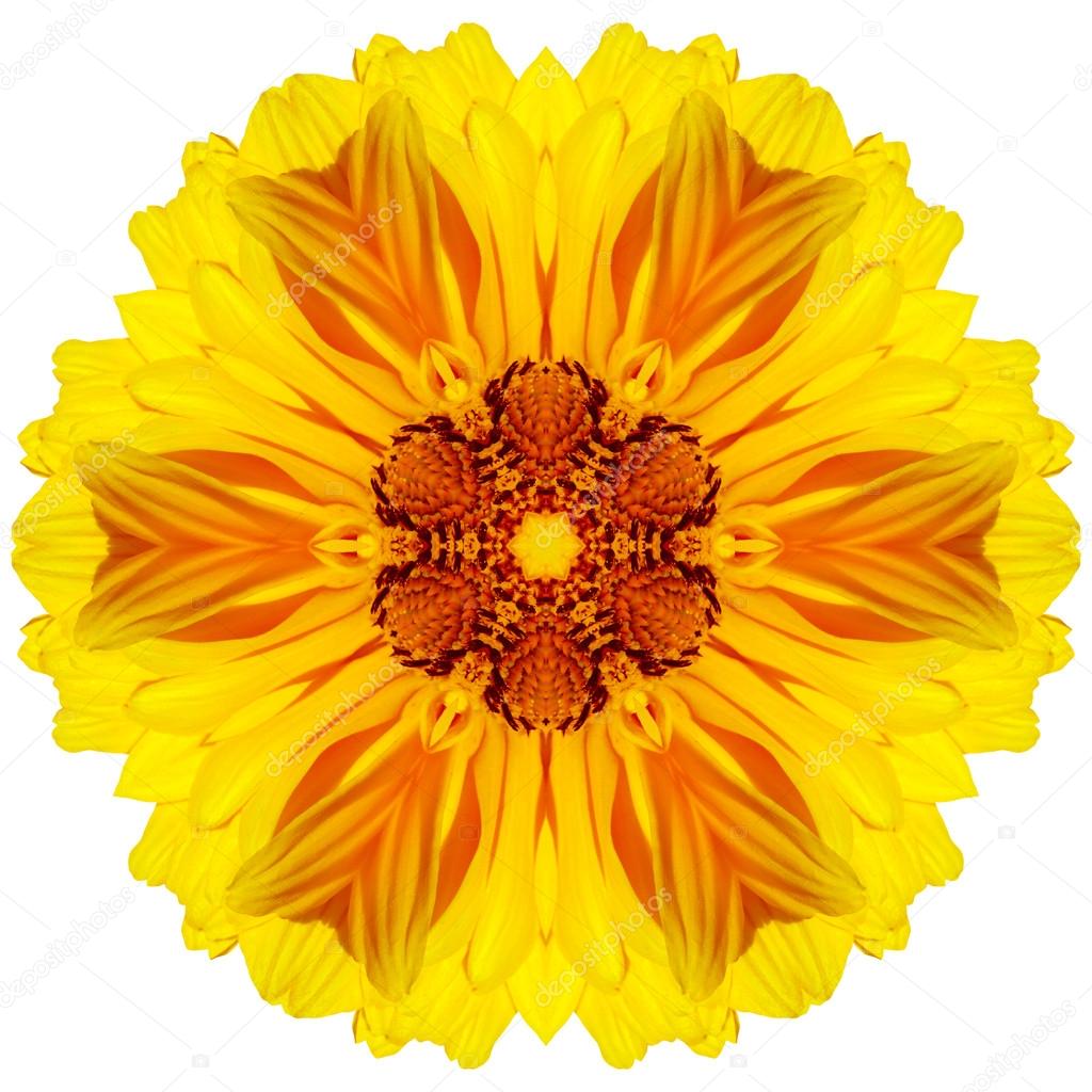 Flower mandala isolated on white background