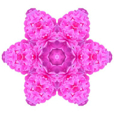 Beyaz arka plan üzerinde izole çiçek mandala