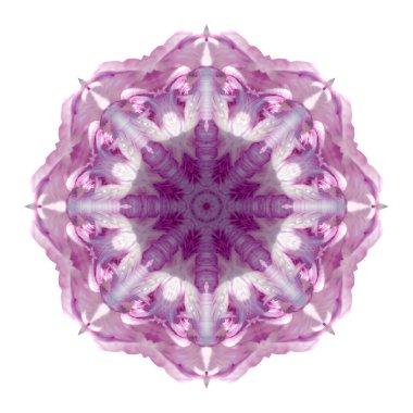 Beyaz arka plan üzerinde izole çiçek mandala