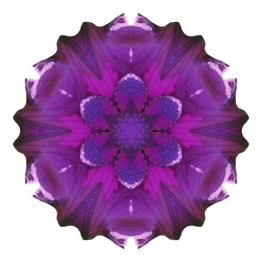 Beyaz arka plan üzerinde izole çiçek mandala
