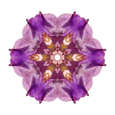 Beyaz arka plan üzerinde izole çiçek mandala