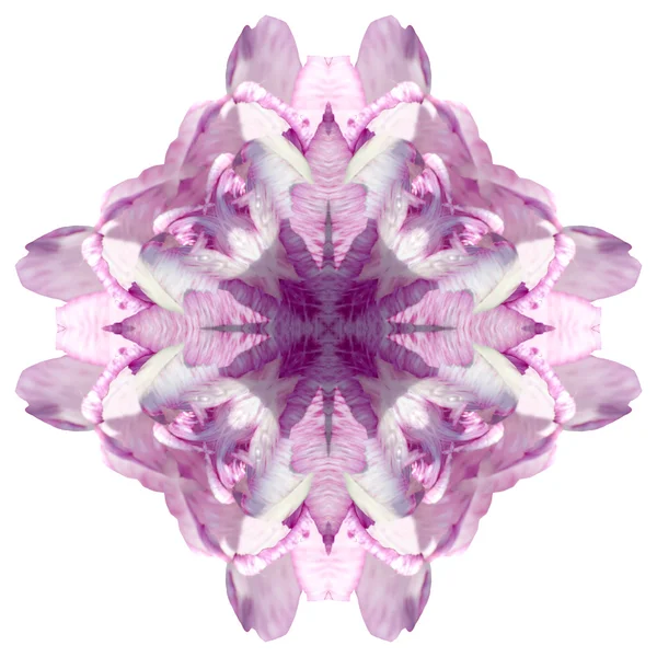 Beyaz arka plan üzerinde izole çiçek mandala