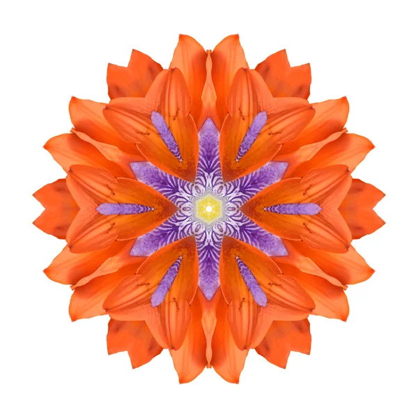 Blume Mandala isoliert auf weißem Hintergrund — Stockfoto