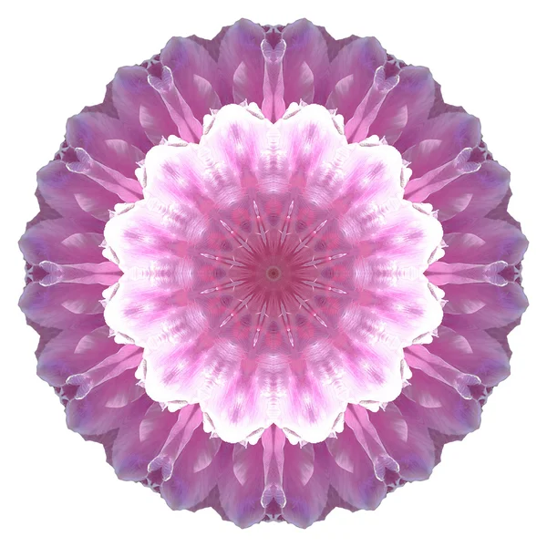 Blomma mandala isolerad på vit bakgrund — Stockfoto