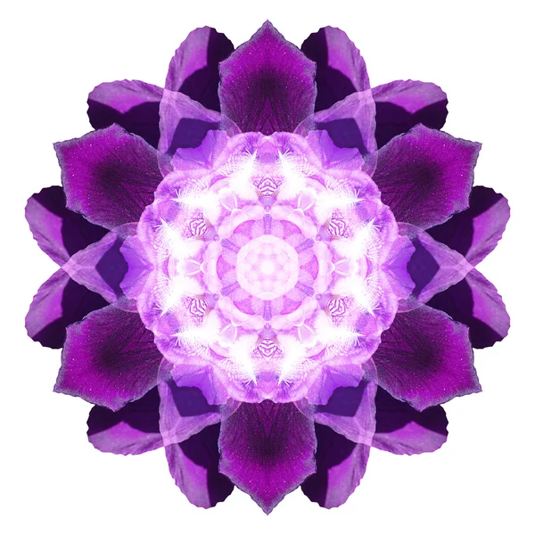 Bloem mandala geïsoleerd op witte achtergrond — Stockfoto