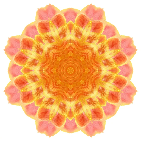 Flower mandala isolated on white background — Stock Photo, Image