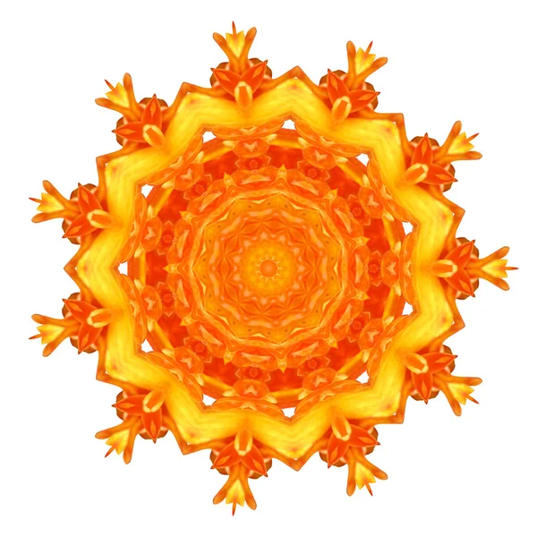 Blume Mandala isoliert auf weißem Hintergrund — Stockfoto