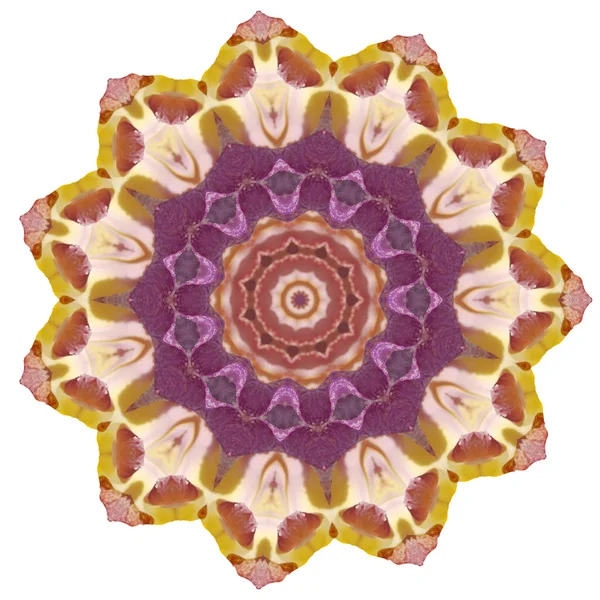 Bloem mandala geïsoleerd op witte achtergrond — Stockfoto