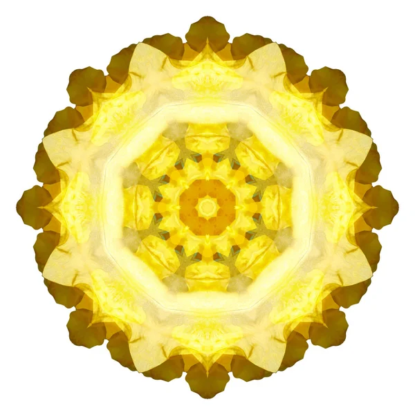 Mandala fiore isolato su sfondo bianco — Foto Stock